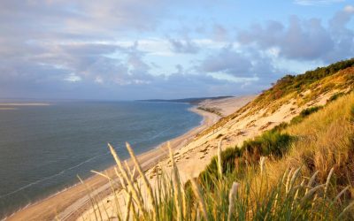 Arcachon, la Miami Française : Pourquoi les Millennials s’y Installent Découverte d’un Nouveau Paradis en Bord de Mer