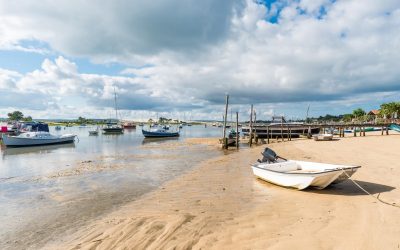 Arcachon : Le Secret Caché des Villas Abandonnées