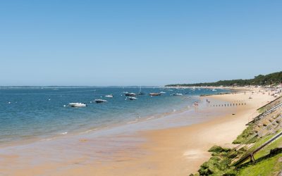 Arcachon : Les Secrets Cachés des Vignes Urbaines