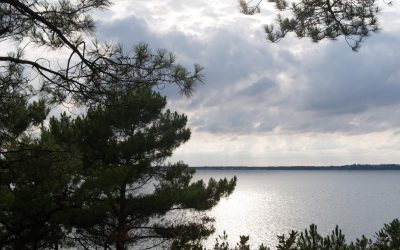 Arcachon : La face cachée d’un paradis balnéaire