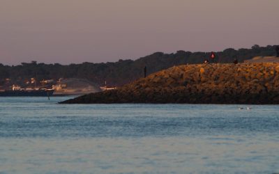 Arcachon et ses Secrets: Ce que Même les Locaux Ignorent