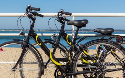 Arcachon: Ce que votre guide ne vous dit pas sur cette ville océanique