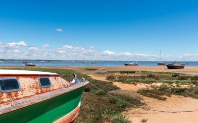 Arcachon : Le Secret Bien Gardé de l&rsquo;Alchimie Climatologique