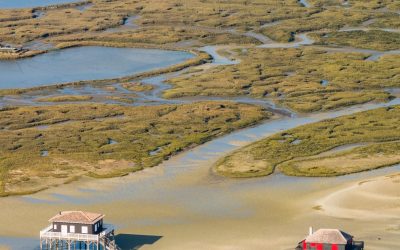 Arcachon et le futur : Quand la nature inspire les innovations écologiques
