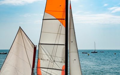 Arcachon : La Face Cachée de la Ville aux Huîtres