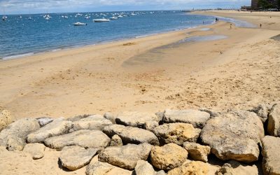 Arcachon : Le Paradis Perdu des Huîtres ?