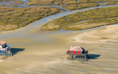Dune du pilat, géant de sable flirtant avec deux millions