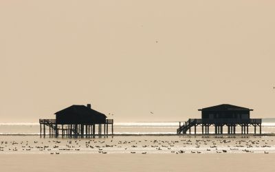 Dune du pilat, gardienne mouvante du bassin d’arcachon
