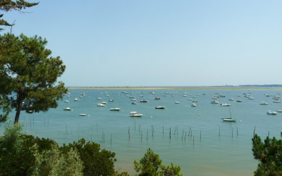 Voyage historique arcachon pyla entre dune océan pinède et résine