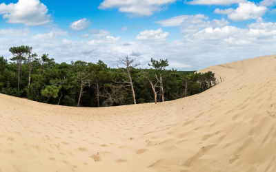 Mémoire salée d’arcachon et pyla entre dune, pins et villas