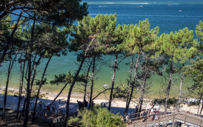 Dune du pilat, géante vivante entre océan, forêt et ciel