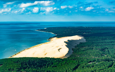 Arcachon intime, entre dune, oiseaux et éclats marins