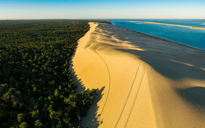 Entre dunes mouvantes, bassin d’arcachon respire pins, marées, cabanes tchanquées