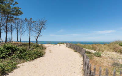 Savourer la dune du pilat entre défi, contemplation et préservation