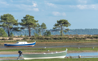Bassin d’arcachon, dune et traditions : immersion dans un patrimoine vivant