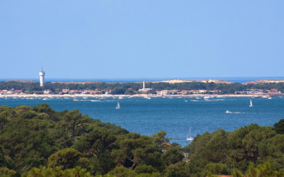 Escale chic à cap ferret entre pinède, huîtres et plages