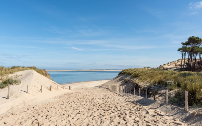 Dune du pilat, géant vivant atteint un record de visiteurs