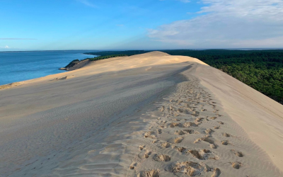 Immersion sensorielle au bassin d&rsquo;arcachon, dune du pilat vivante inoubliable